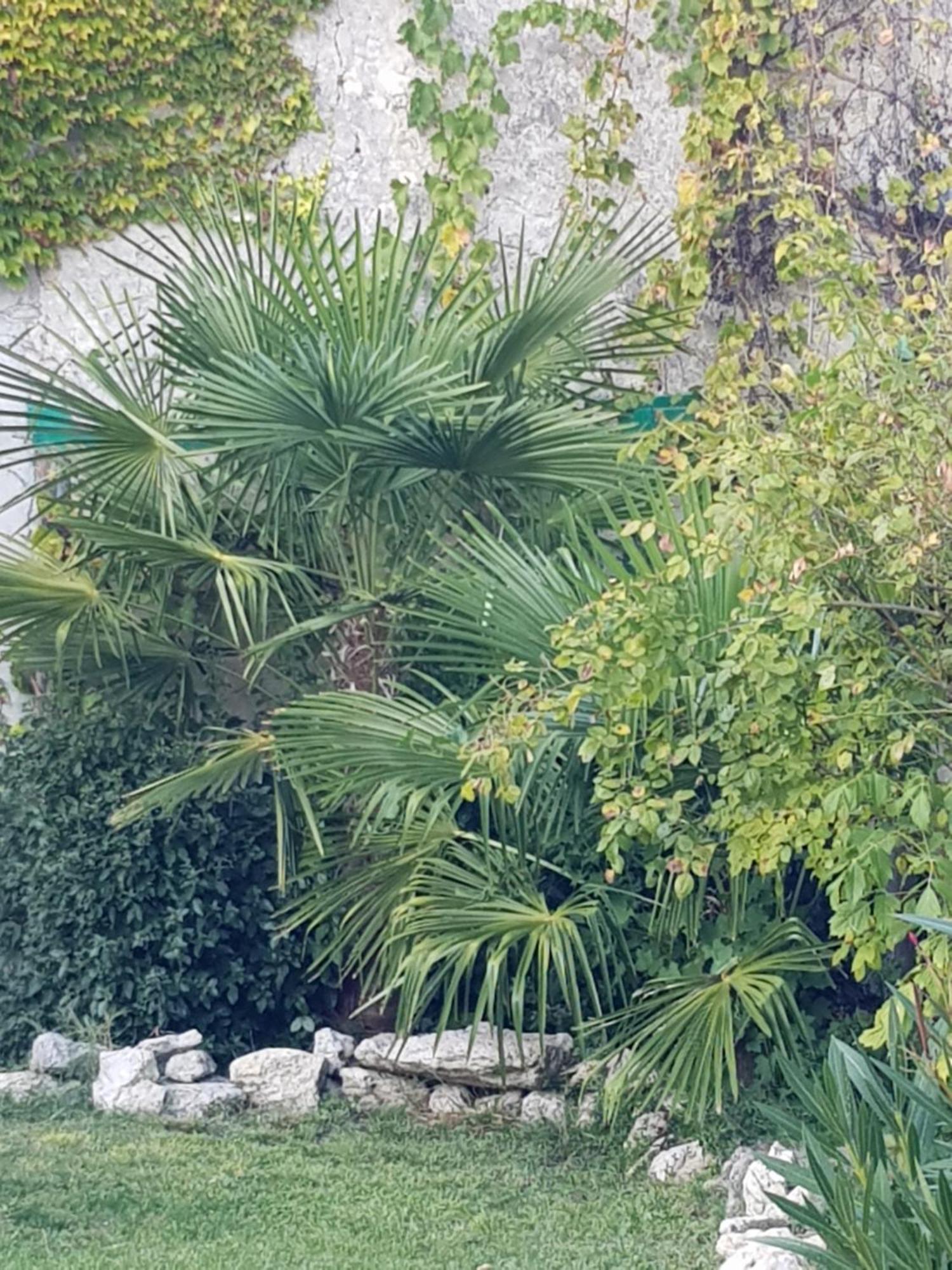 La Maison Malabar Villefranche-du-Queyran Εξωτερικό φωτογραφία